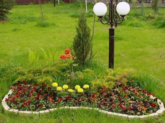 Клумбы и цветники на садовом участке в Одессе