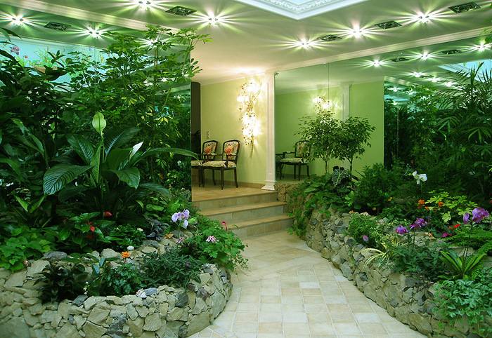 Дизайн растениями интерьеров в Одессе
