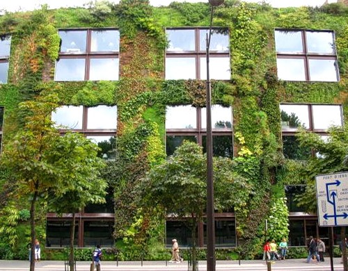 Вертикальное озеленение фасадов зданий
