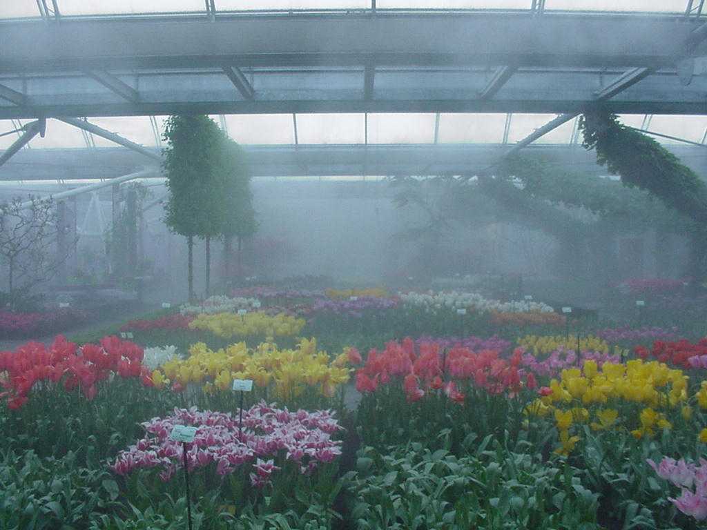 Система туманообразования в сельском хозяйстве